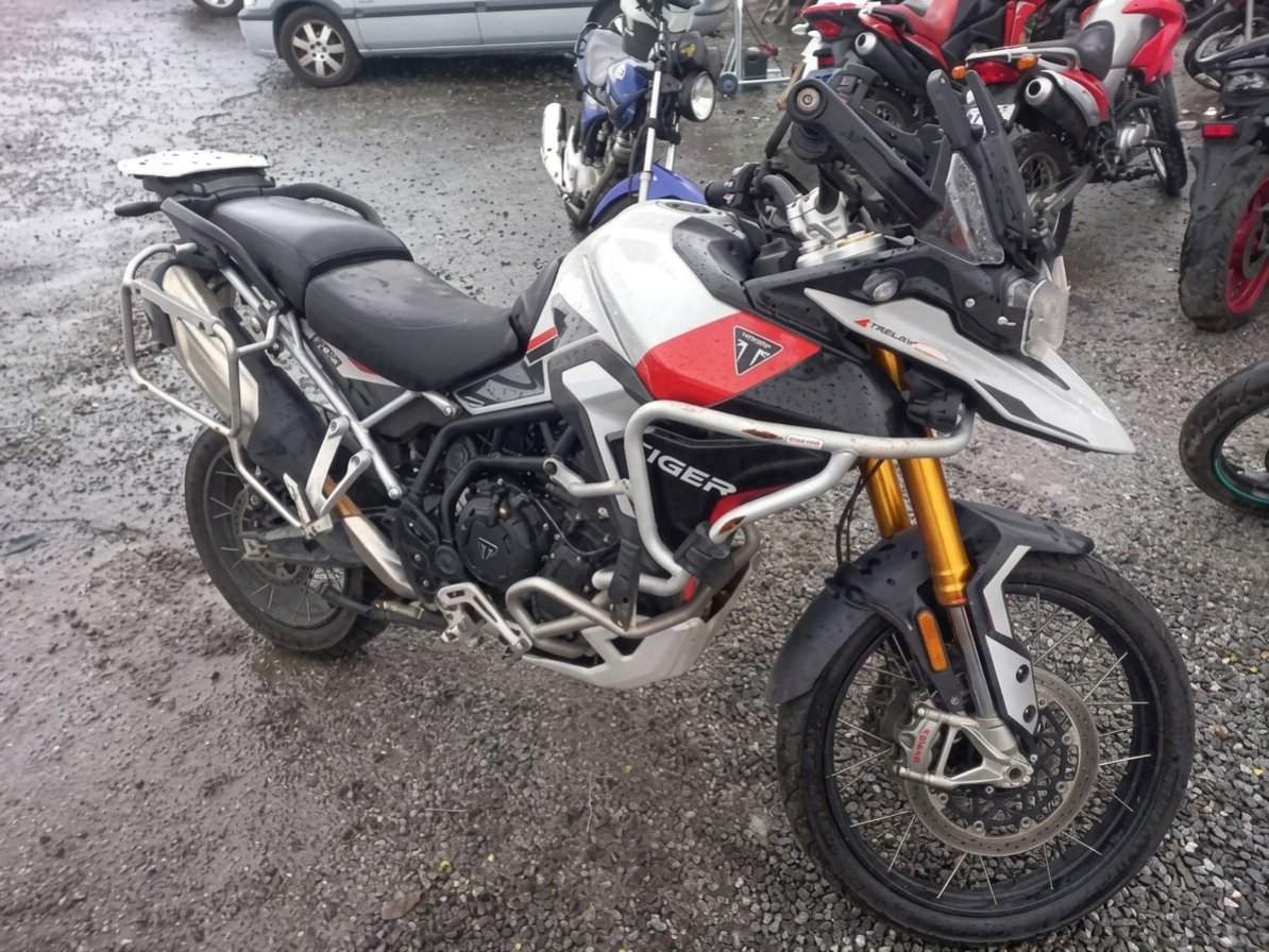 TRIUMPH TIGER 24/25