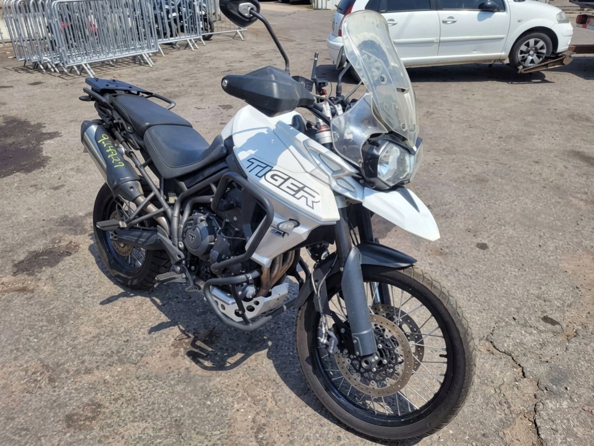 TRIUMPH TIGER 20/20